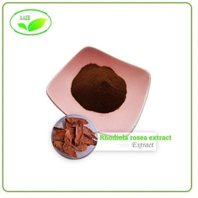 Rhodiola Rosea Extract Powder